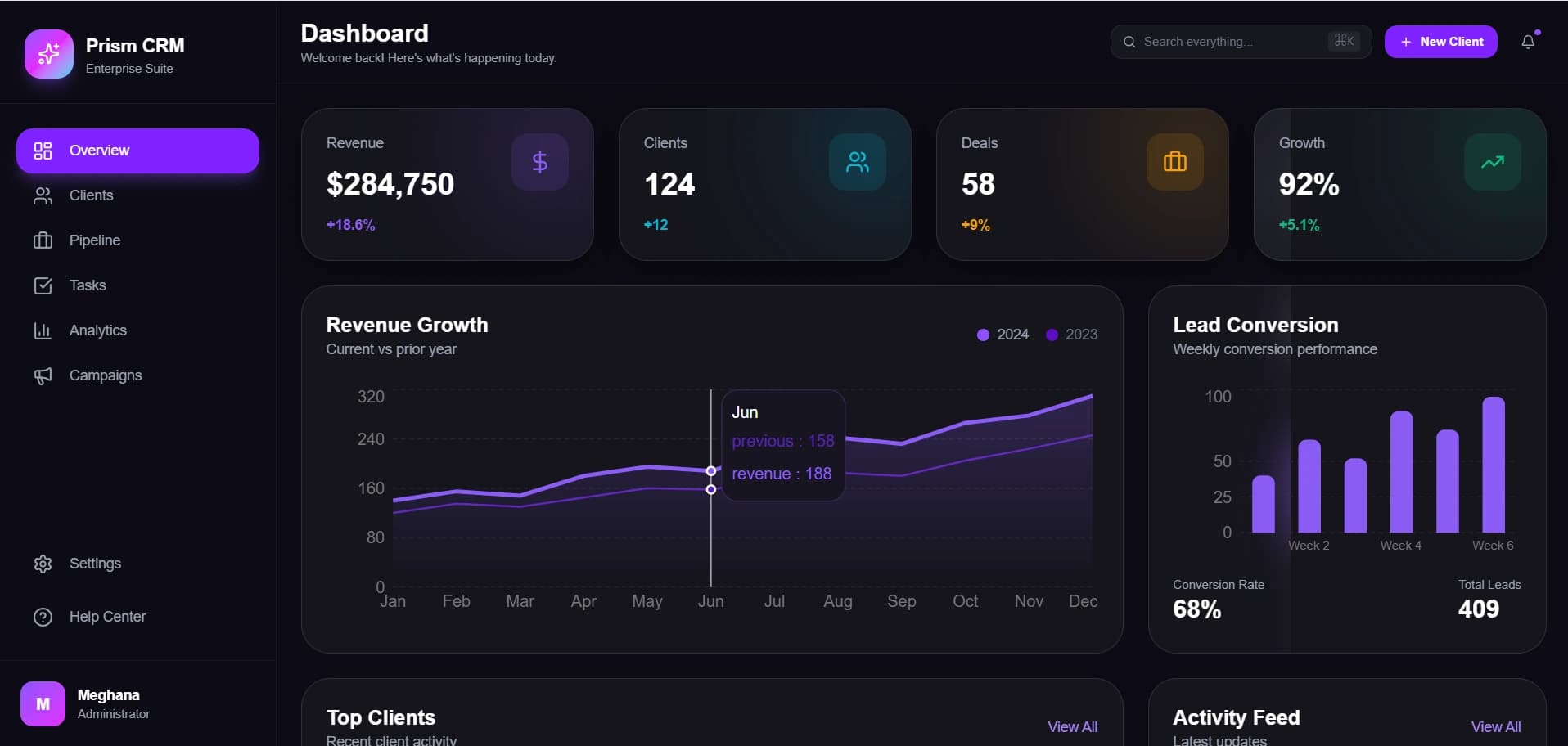 SaaS / CRM project preview